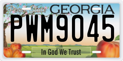GA license plate PWM9045