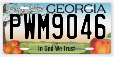 GA license plate PWM9046