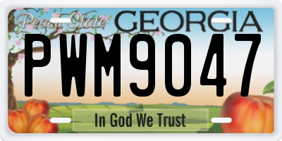 GA license plate PWM9047