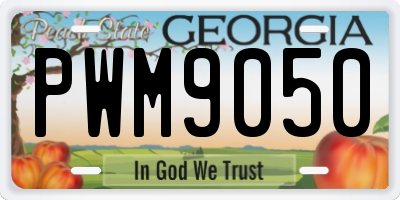GA license plate PWM9050
