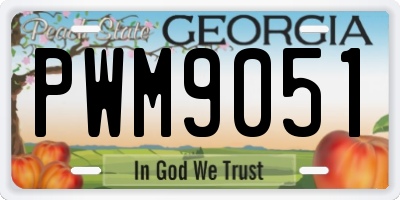 GA license plate PWM9051