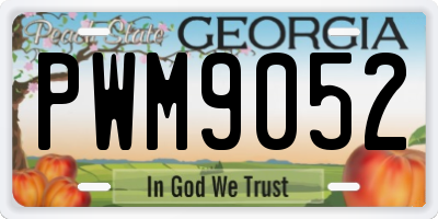 GA license plate PWM9052