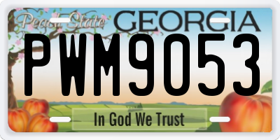 GA license plate PWM9053
