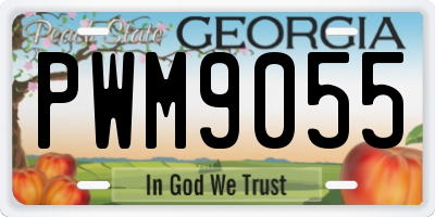 GA license plate PWM9055
