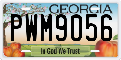 GA license plate PWM9056