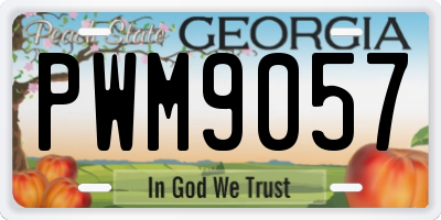 GA license plate PWM9057