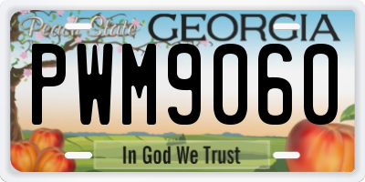 GA license plate PWM9060