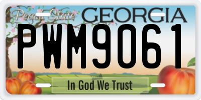 GA license plate PWM9061