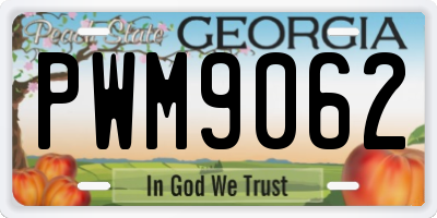 GA license plate PWM9062