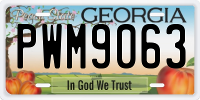 GA license plate PWM9063