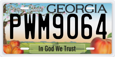 GA license plate PWM9064