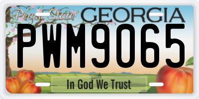 GA license plate PWM9065