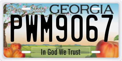 GA license plate PWM9067