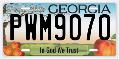 GA license plate PWM9070