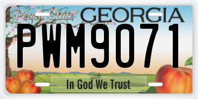 GA license plate PWM9071