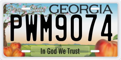 GA license plate PWM9074