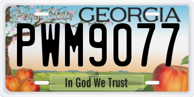 GA license plate PWM9077