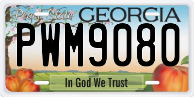 GA license plate PWM9080