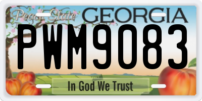 GA license plate PWM9083
