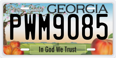 GA license plate PWM9085