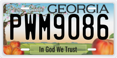 GA license plate PWM9086