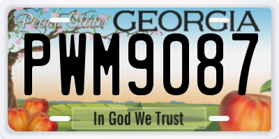 GA license plate PWM9087