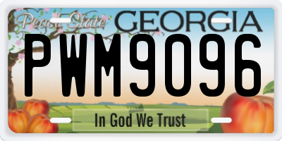 GA license plate PWM9096