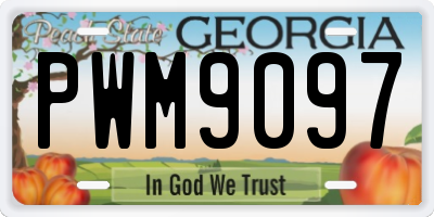 GA license plate PWM9097