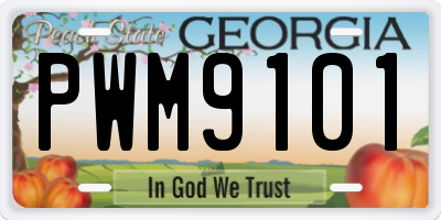 GA license plate PWM9101