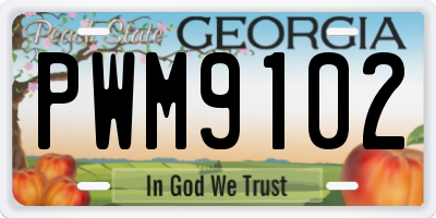 GA license plate PWM9102