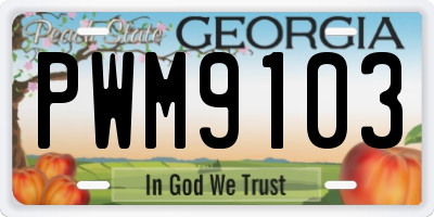 GA license plate PWM9103