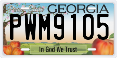 GA license plate PWM9105