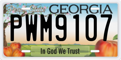 GA license plate PWM9107