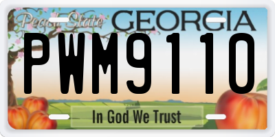GA license plate PWM9110