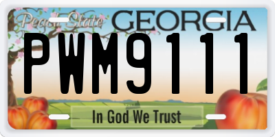 GA license plate PWM9111