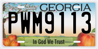 GA license plate PWM9113