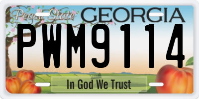 GA license plate PWM9114