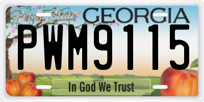 GA license plate PWM9115