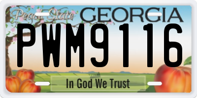 GA license plate PWM9116