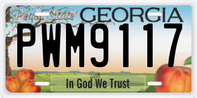 GA license plate PWM9117