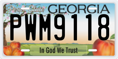 GA license plate PWM9118