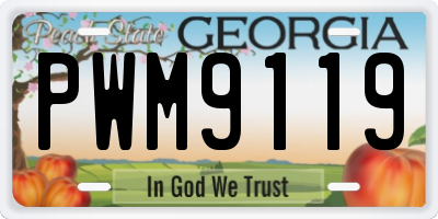 GA license plate PWM9119