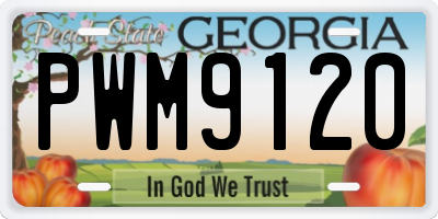 GA license plate PWM9120