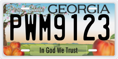 GA license plate PWM9123
