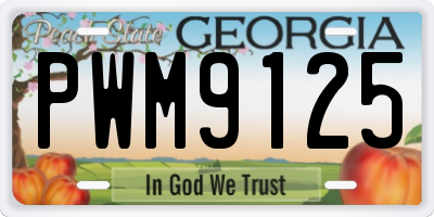 GA license plate PWM9125