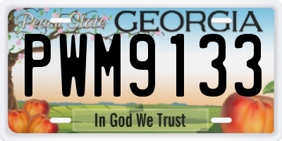 GA license plate PWM9133