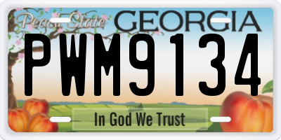 GA license plate PWM9134