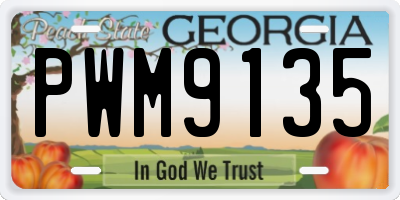 GA license plate PWM9135