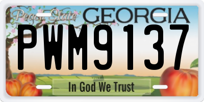 GA license plate PWM9137
