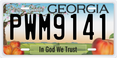 GA license plate PWM9141